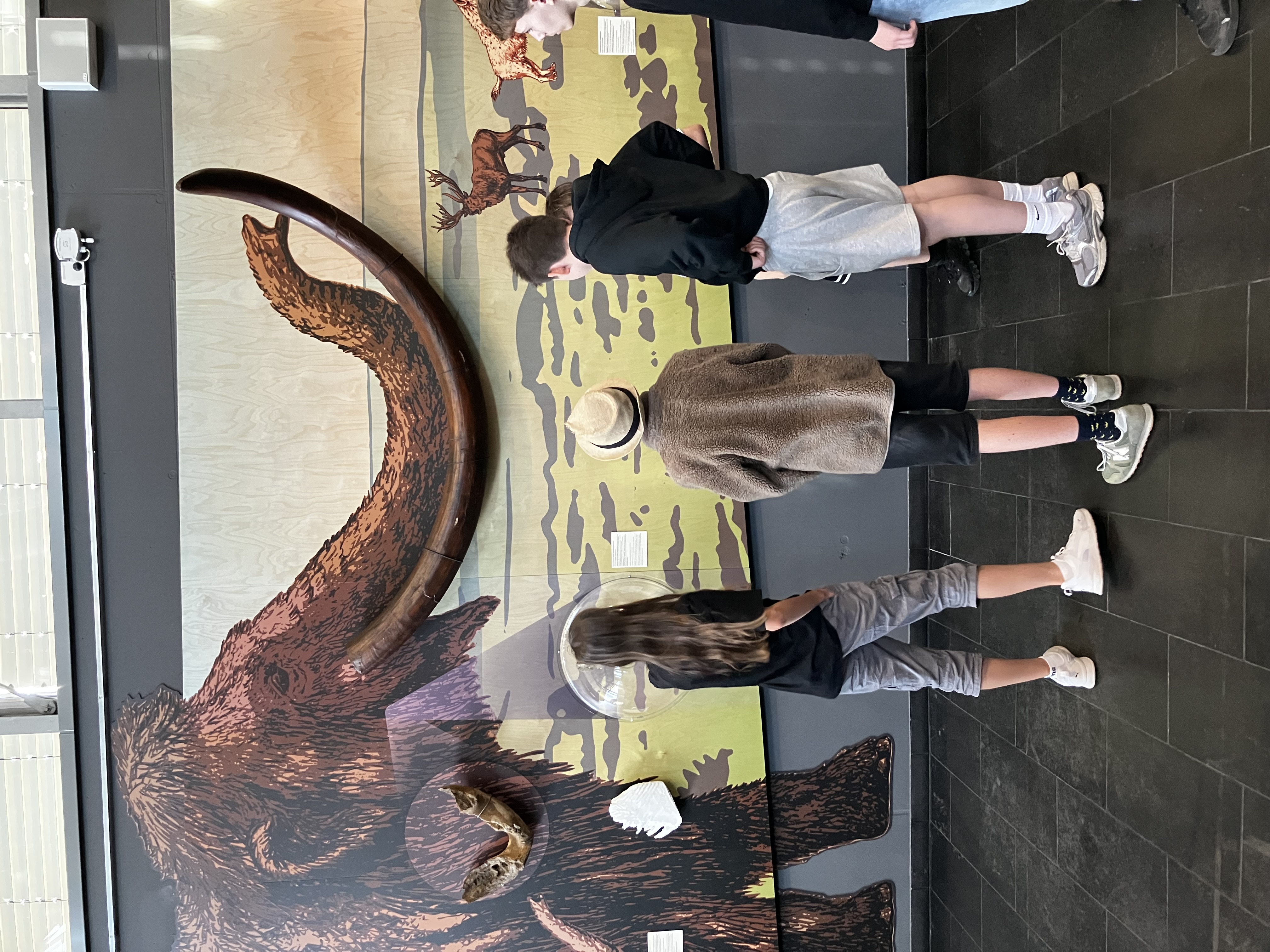 Mammut_1