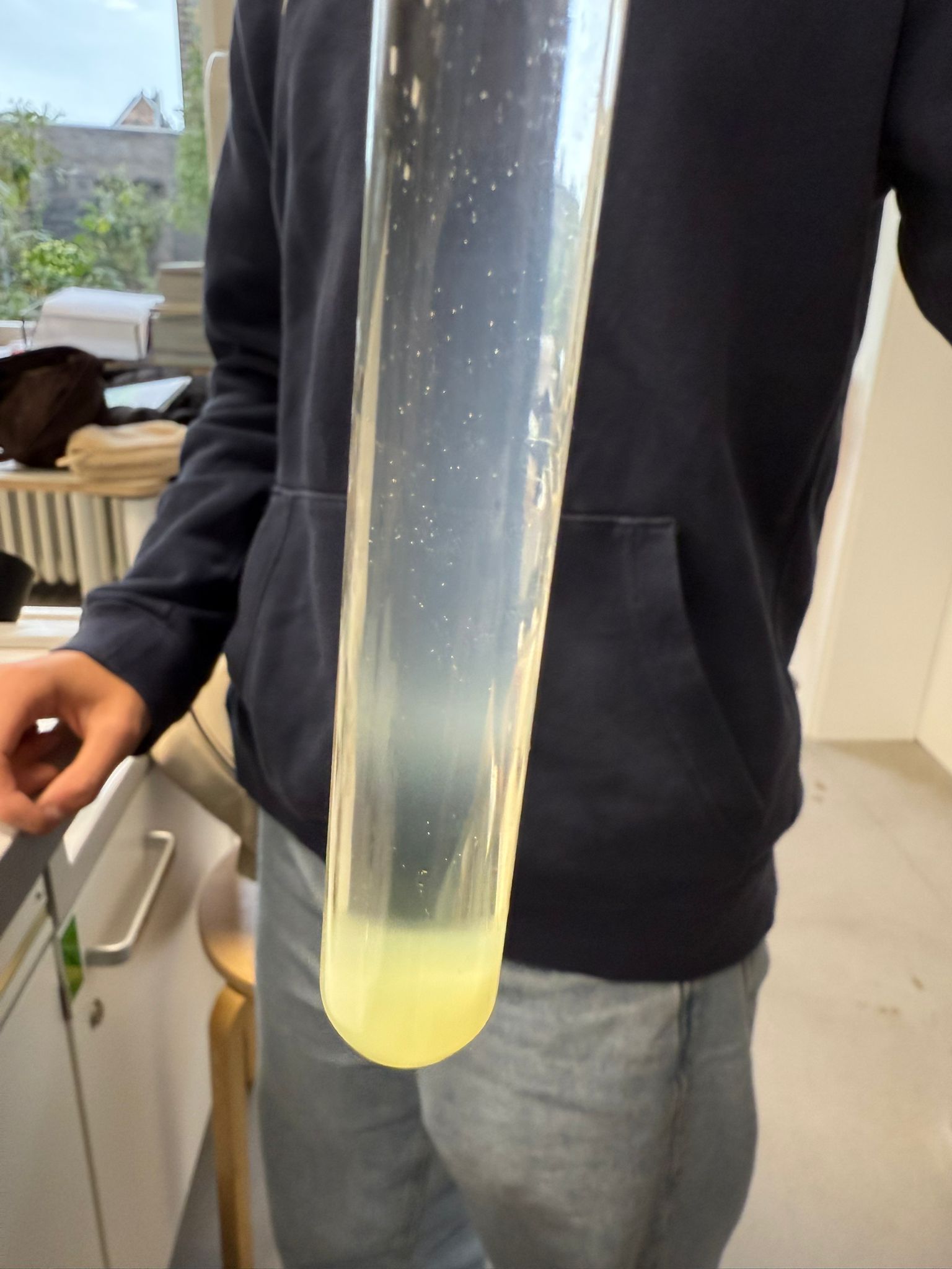 isolierte DNA aus Tomaten